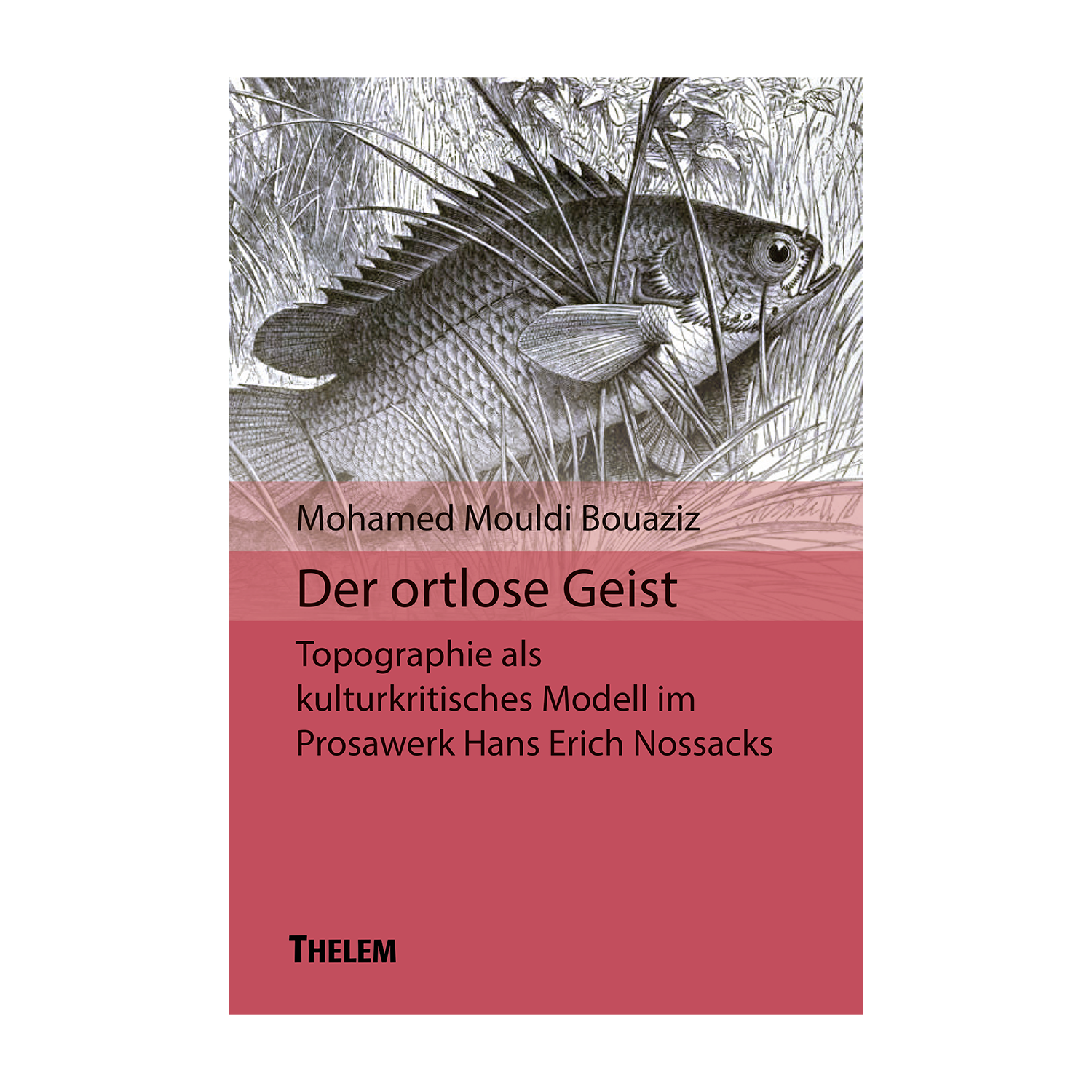 Cover "der ortlose Geist"; © THELEM