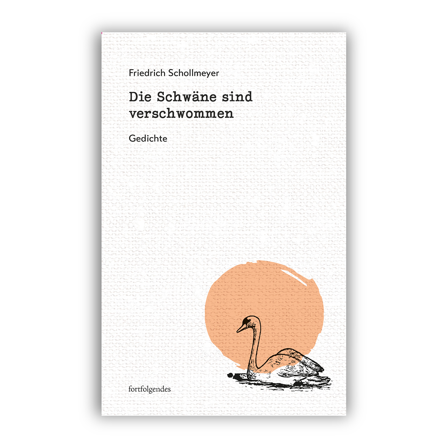 Cover "Die Schwäne sind verschwommen"; © THELEM